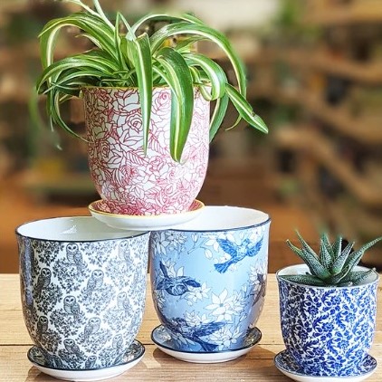 Houseplant planters