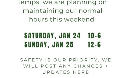 Winter Weather Kudzu Update (+ coffee!)